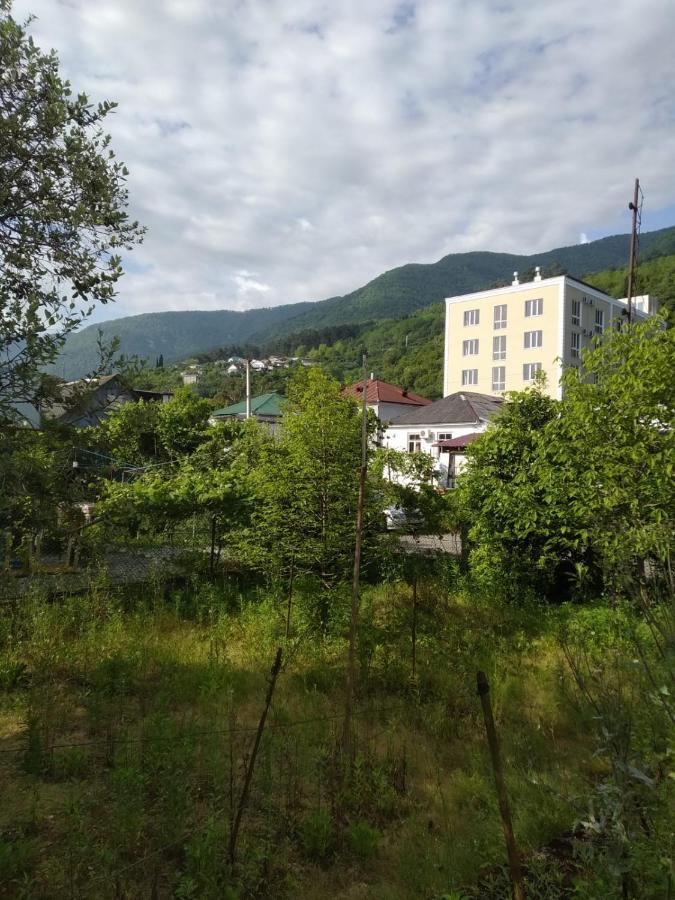 Na Shapsug Guest House Γκάγκρα Εξωτερικό φωτογραφία